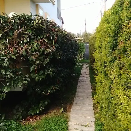 Dalyan Holiday * Çeşme